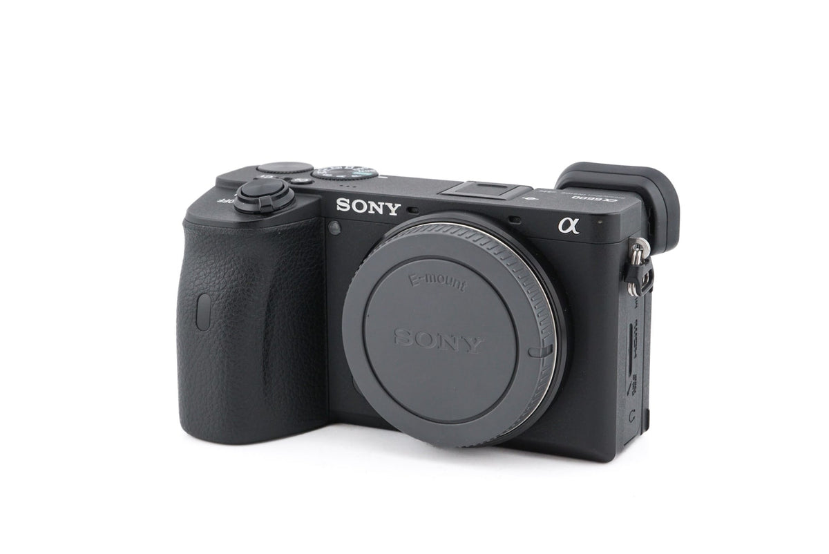 Sony A6600  · main image
