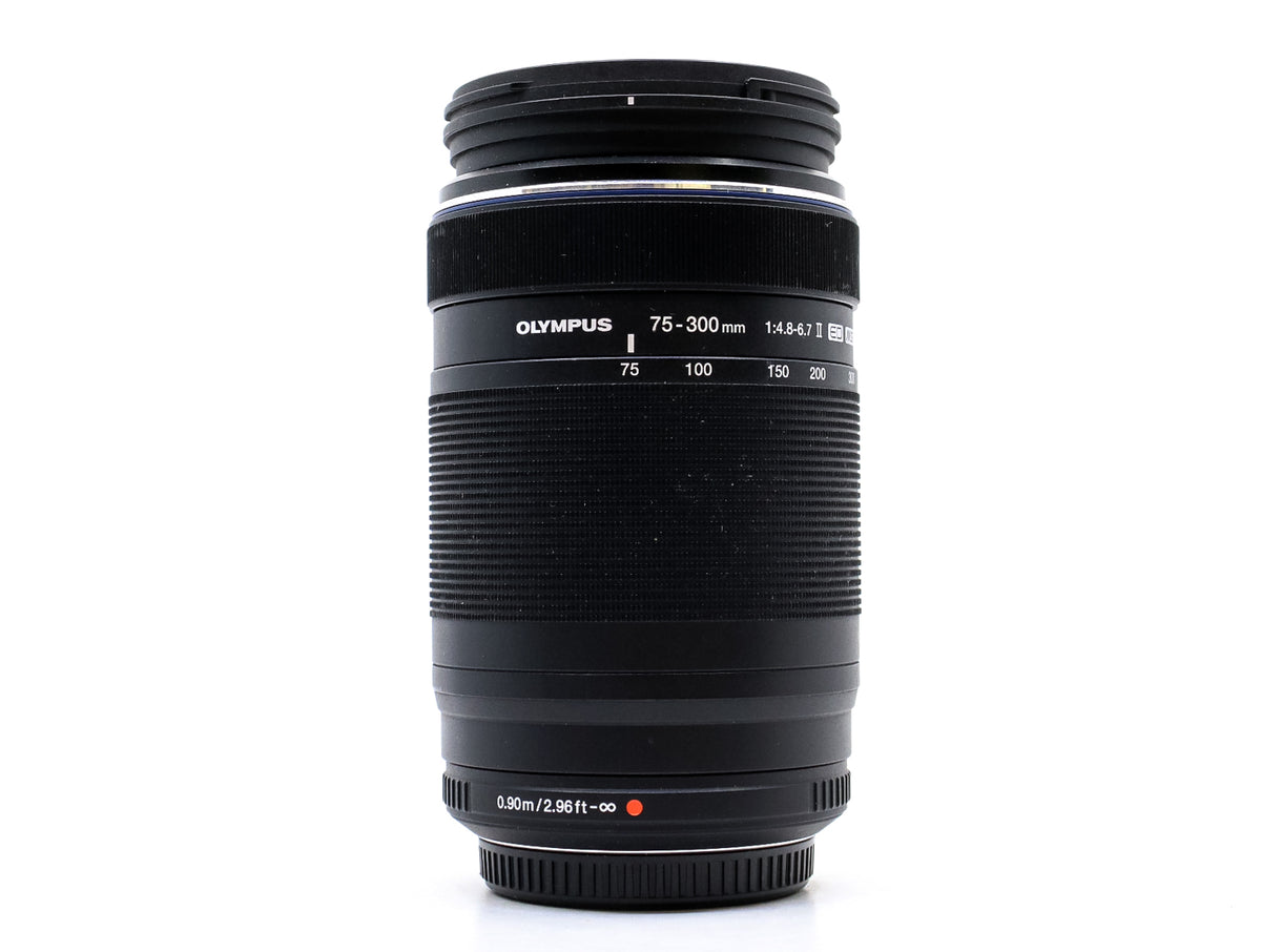 Sigma 70-300mm f/4-5.6 APO Macro - Canon EF Fit · imagen principal