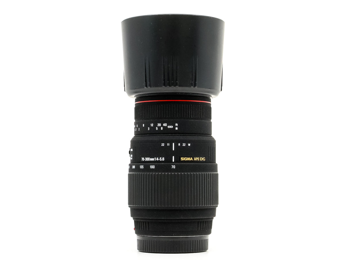 Sigma 70-300mm f/4-5.6 APO DG Macro - Sony A Fit · imagen principal