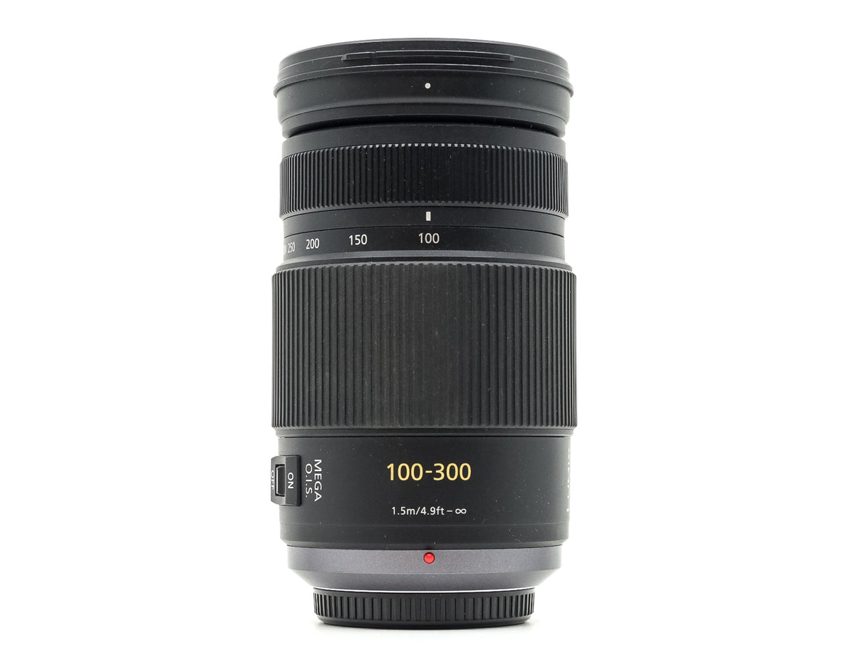Panasonic Lumix G Vario 100-300mm f/4-5.6 Mega OIS  · main image