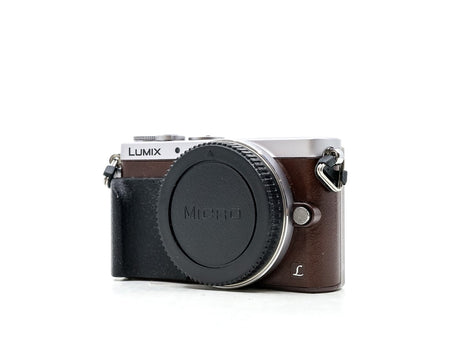 Panasonic Lumix DMC-GM1s