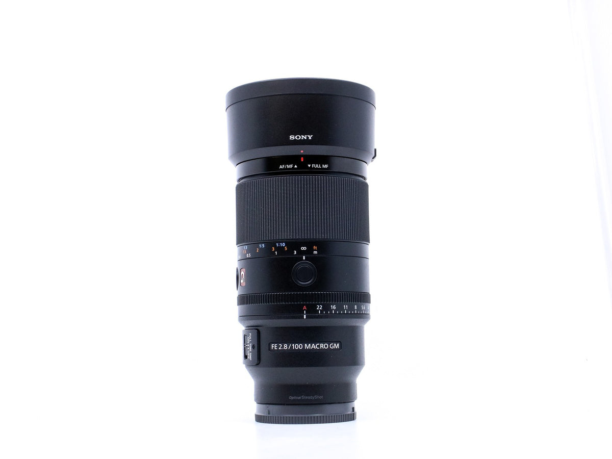 Sony FE 100mm f/2.8 Macro GM OSS · main image