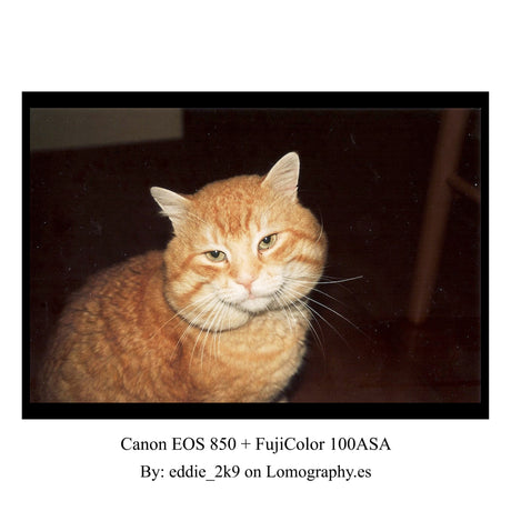 Canon EOS 850 + 35-70 F3.5 - 5.6 - Vintage Αναλογική Φωτογραφική Μηχανή SLR 35mm