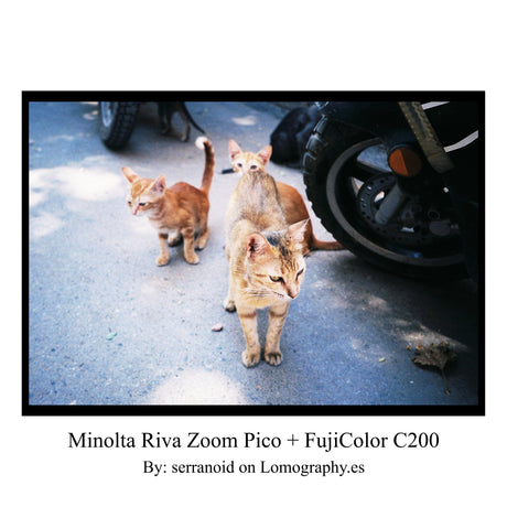 Minolta Riva Zoom Pico - Συμπαγής φιλμ κάμερα 35mm